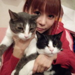 neko-11-150x150 Photos :: Nakagawa~Neko