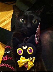 luna <!--:fr-->Nakagawa Neko~10<!--:--><!--:en-->Nakagawa Neko~10<!--:--><!--:ja-->中川ネコ～10<!--:-->
