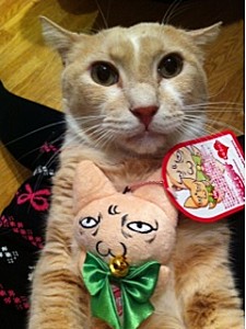 milkban <!--:fr-->Nakagawa Neko~10<!--:--><!--:en-->Nakagawa Neko~10<!--:--><!--:ja-->中川ネコ～10<!--:-->