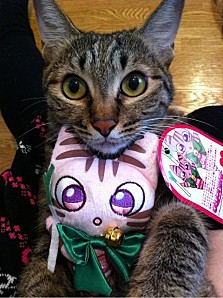 negi <!--:fr-->Nakagawa Neko~10<!--:--><!--:en-->Nakagawa Neko~10<!--:--><!--:ja-->中川ネコ～10<!--:-->