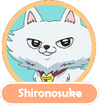 Shironosuke OMAKASE ! Miracle Cat-dan !
