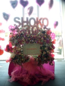 o0480064013296563697-225x300 [LIVE REPORT] Queen Otaku / Shokotan monte au niveau 30 !