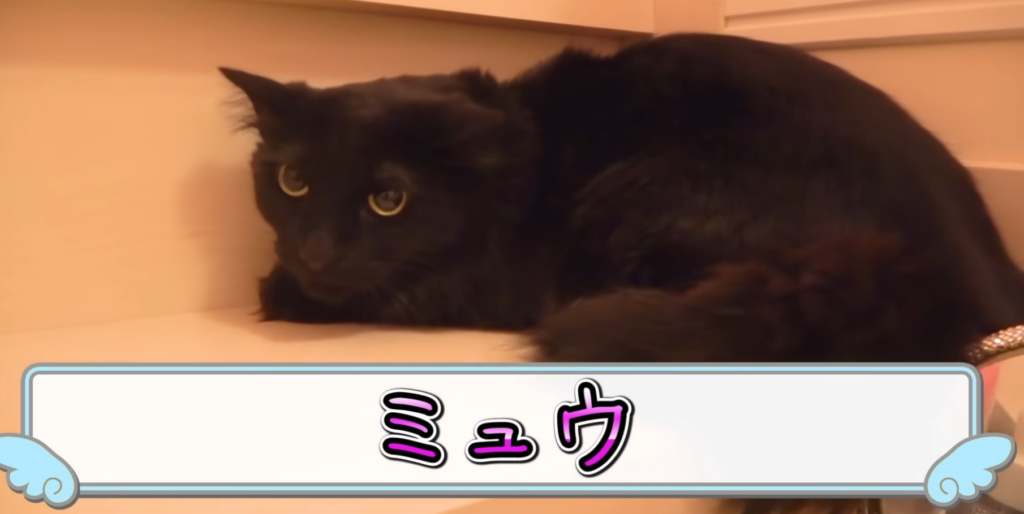 Mew